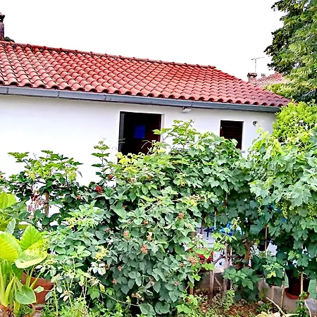 Garden 罗维尼