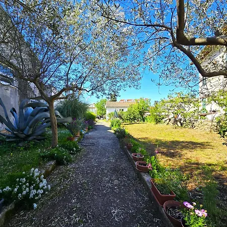 Garden - Two Bedroom Apartman
